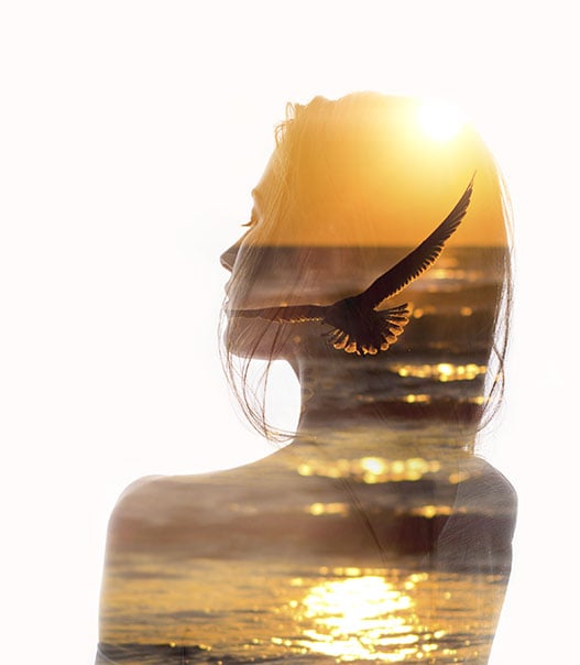 women shape reflecting sunrise and flying bird