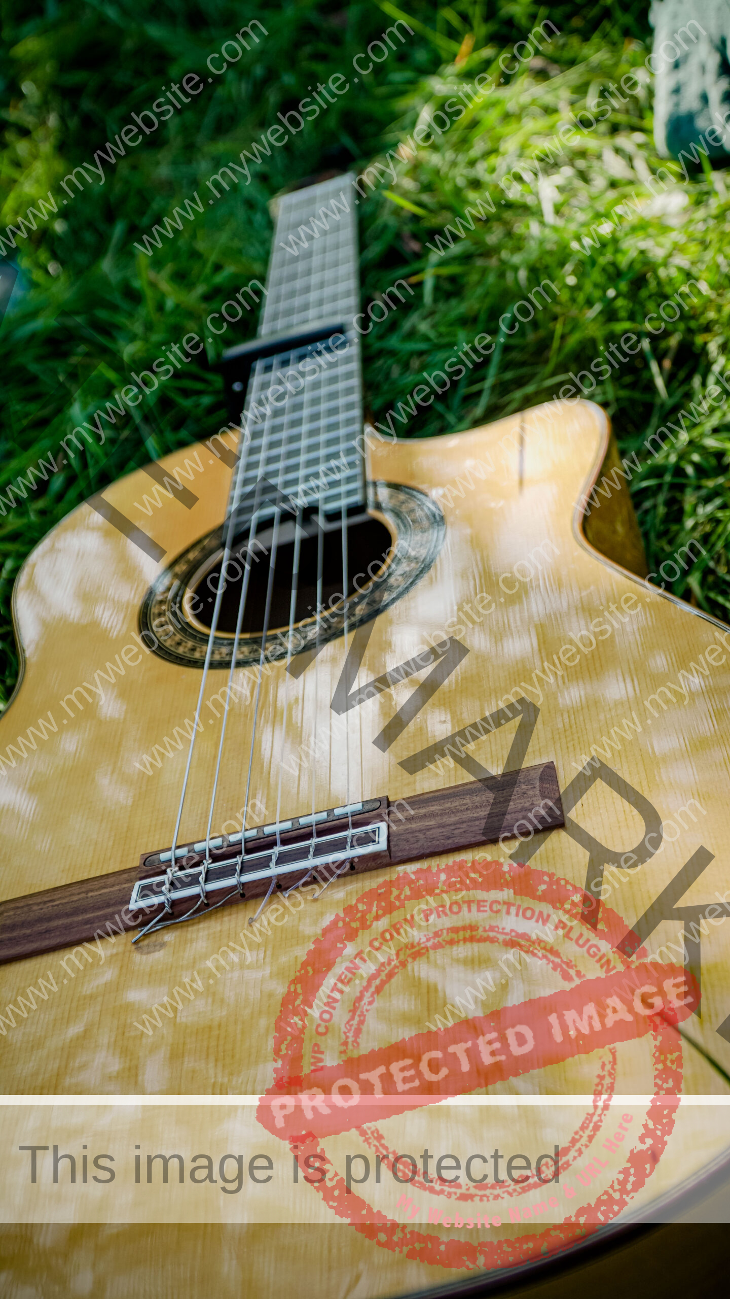 Acoustic guitar laying on gras on sunny day