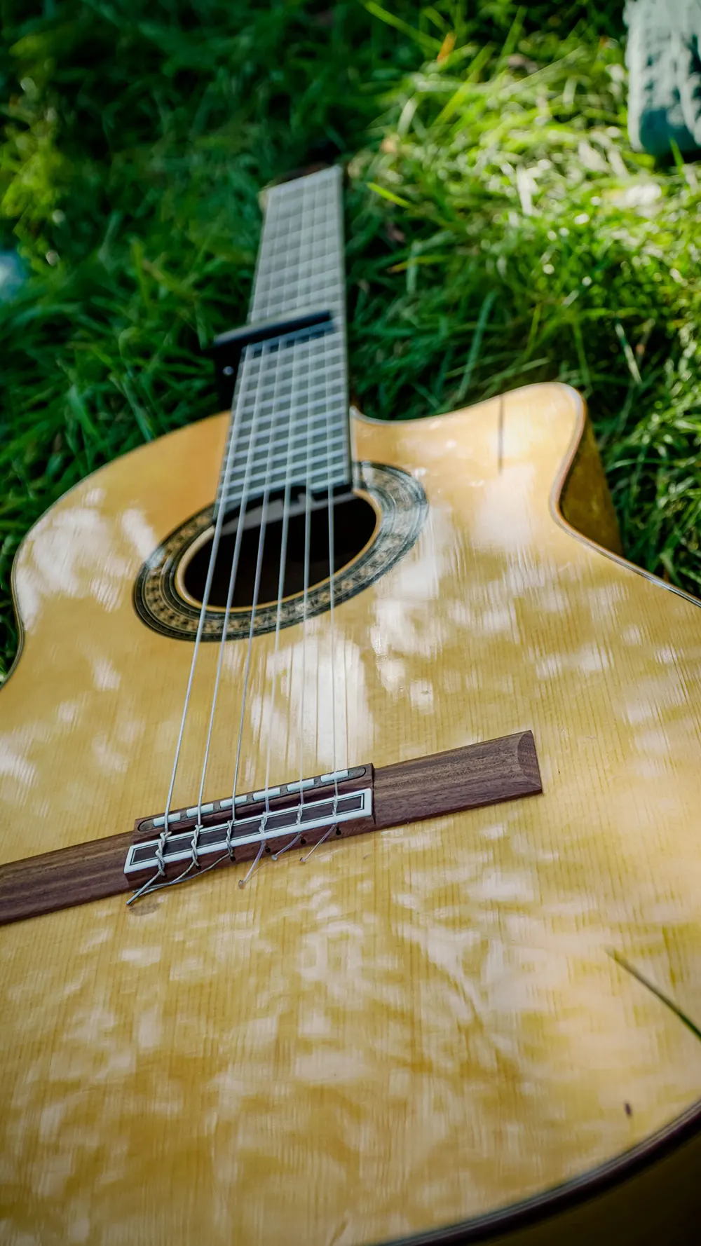 Live music guitar on gras while sun shines