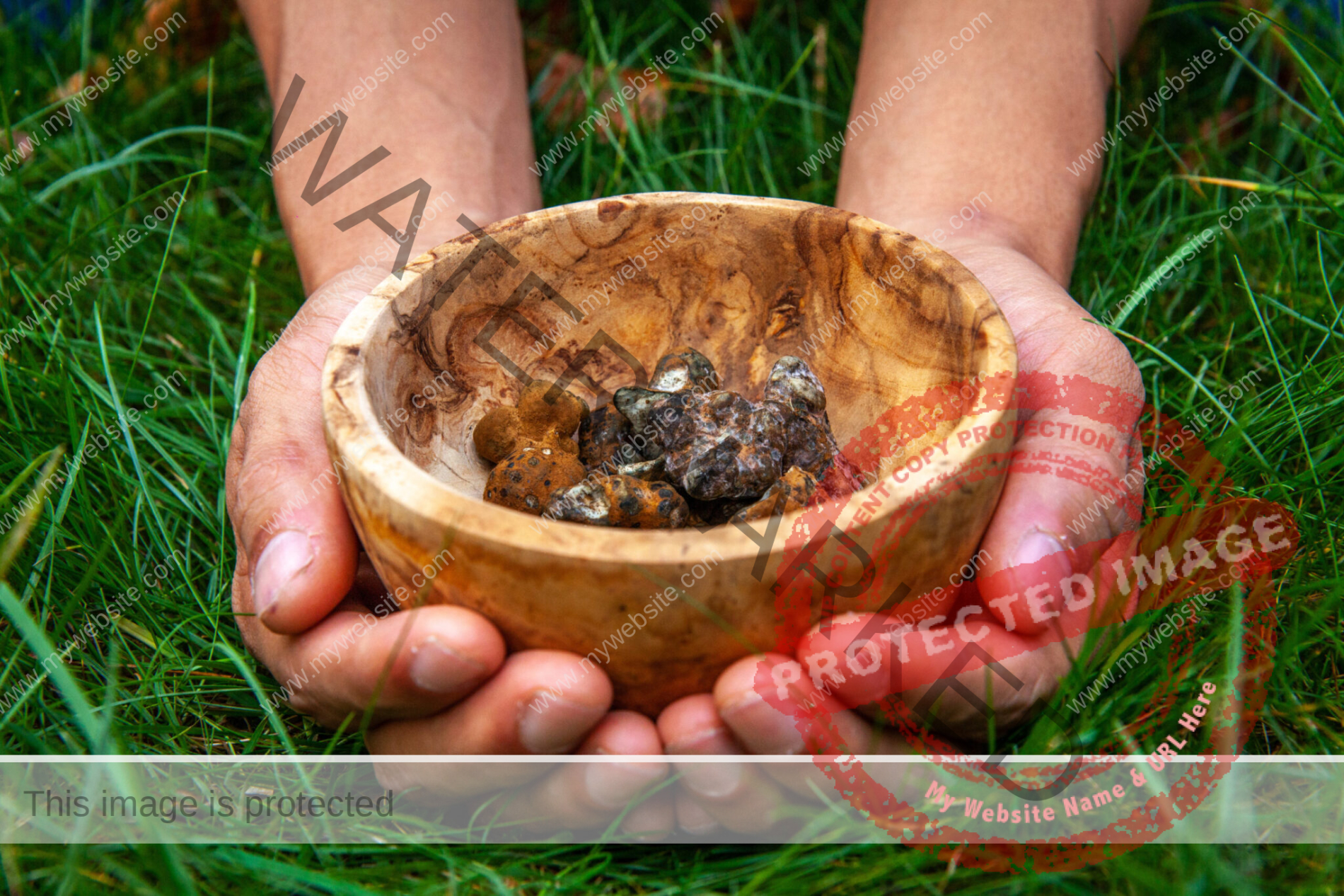 Magic Truffles in a wooden bowl and placed in two hands on green gras