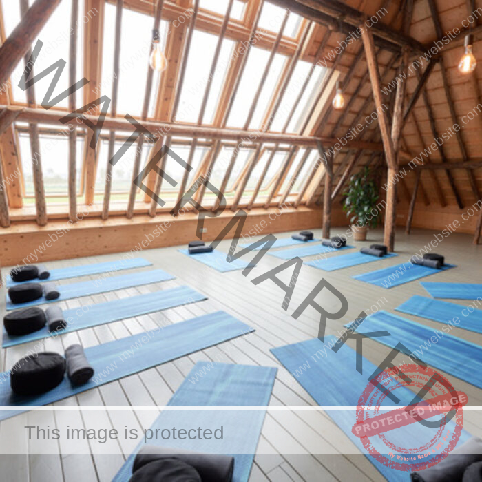 Wooden room with many windows and blue yoga matts on the ground