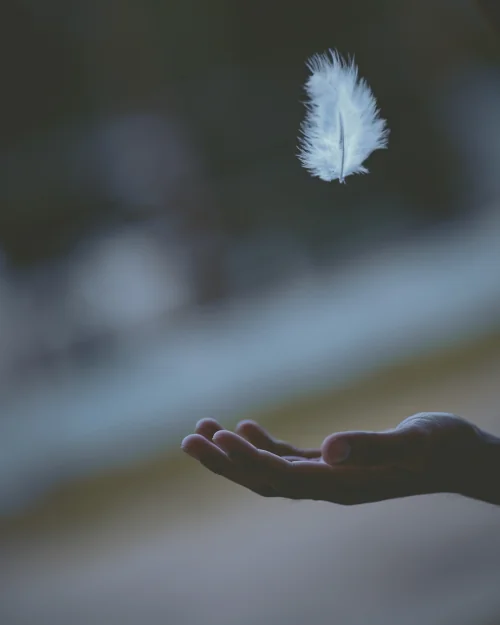 White feather in the air, open hand below