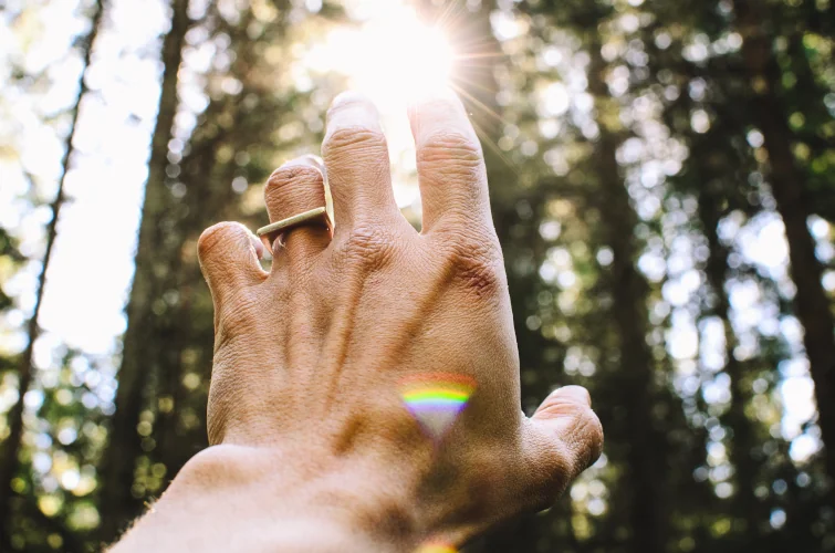 Hand reaching out to the sun in forest
