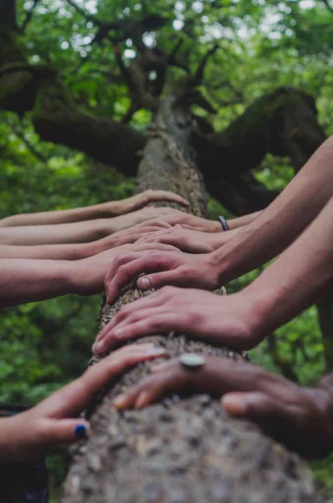 Many hands on Tree Many hands holding living tree in forest