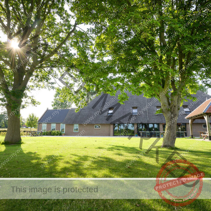 Dutch house with green garden and two huge trees, sun is shining