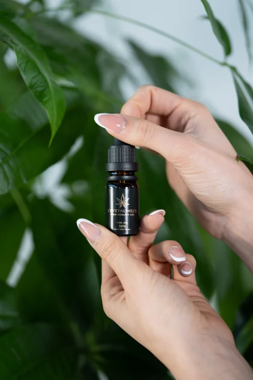 Two female hands holding cbd oil, green leaves in the background