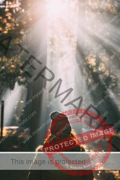 Woman with brown hair, a hat and jacket in forest while sun is shining