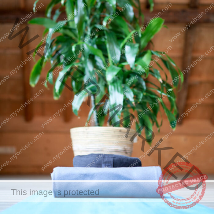 Blue yoga matt with green plant in the background