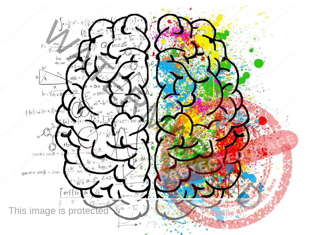 an illustration of a brain, one side without colour and one side very colourful