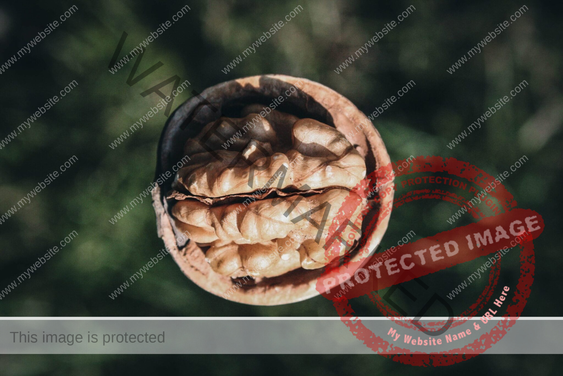 does psilocybin reduce brain activity walnut in shell green