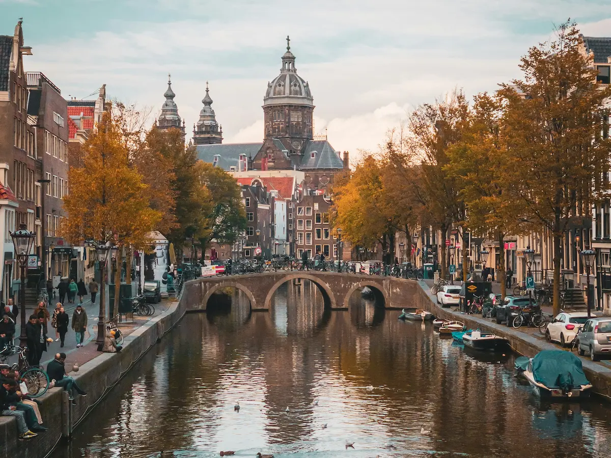 psychedelic retreats Amsterdam building trees canal