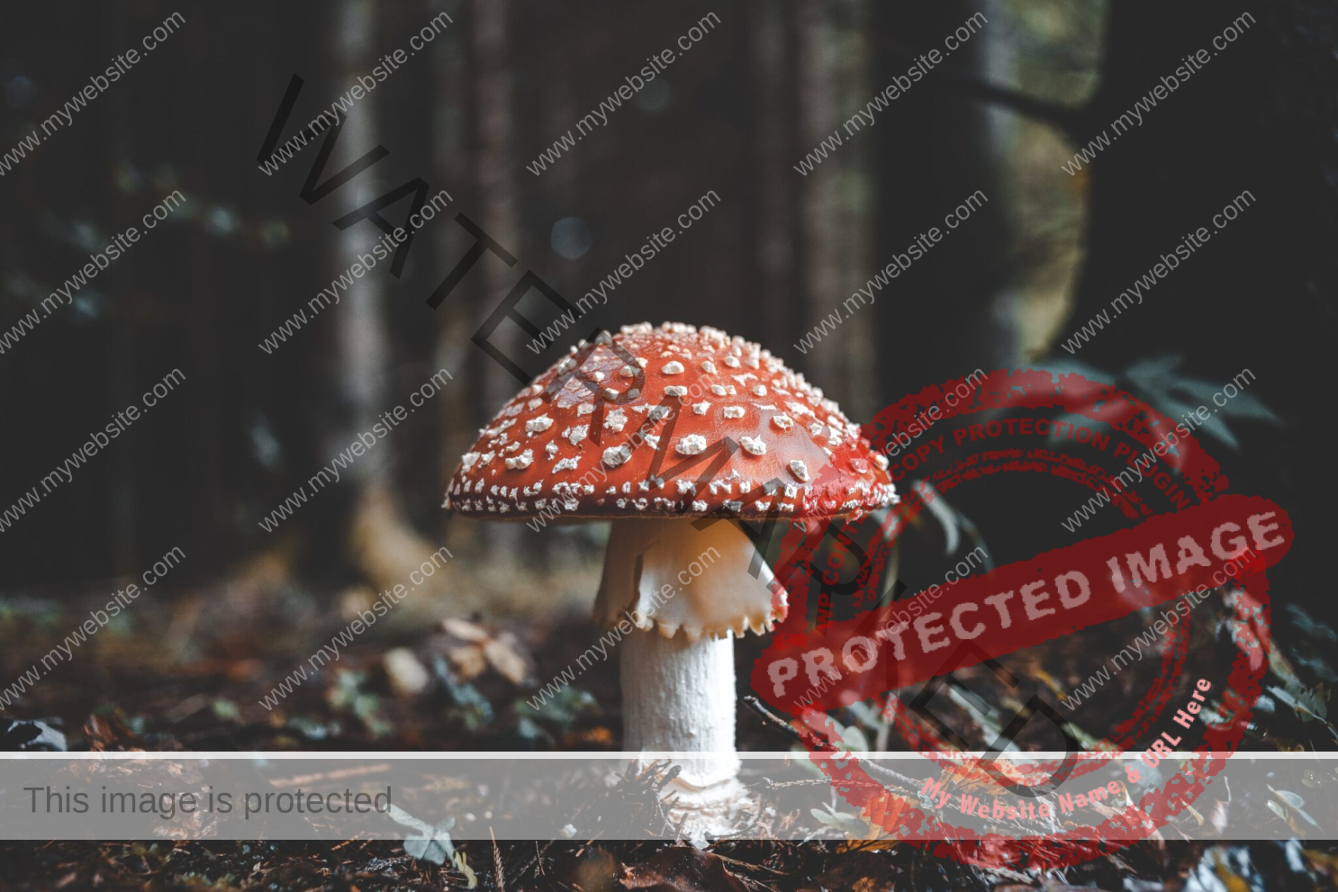 a red and white mushroom in a forest
