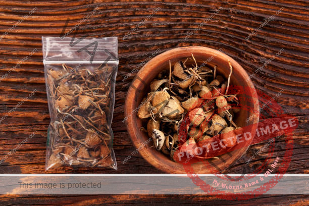  bowl of dried mushrooms in a wooden box on a wooden table and in a plastic bag