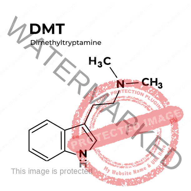 the chemical compound of DMT