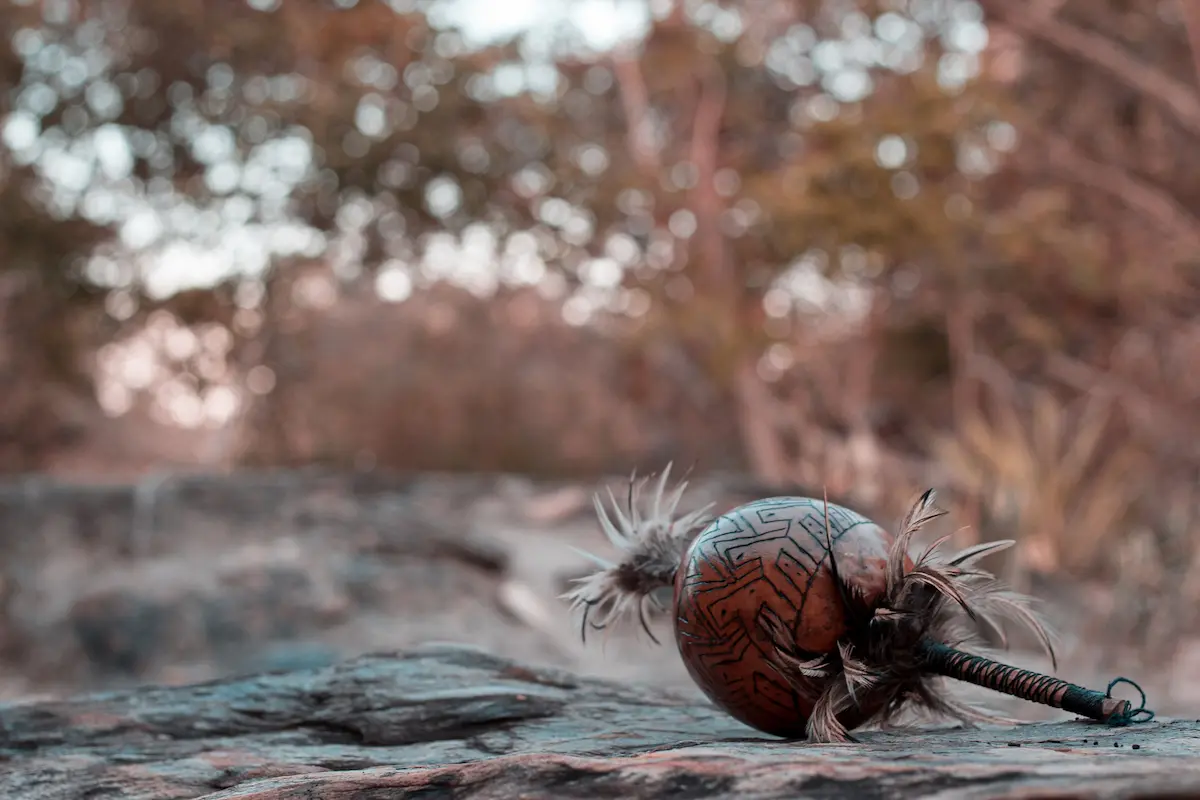 shemanic shaker on a rock in the wood psychedelic retreats