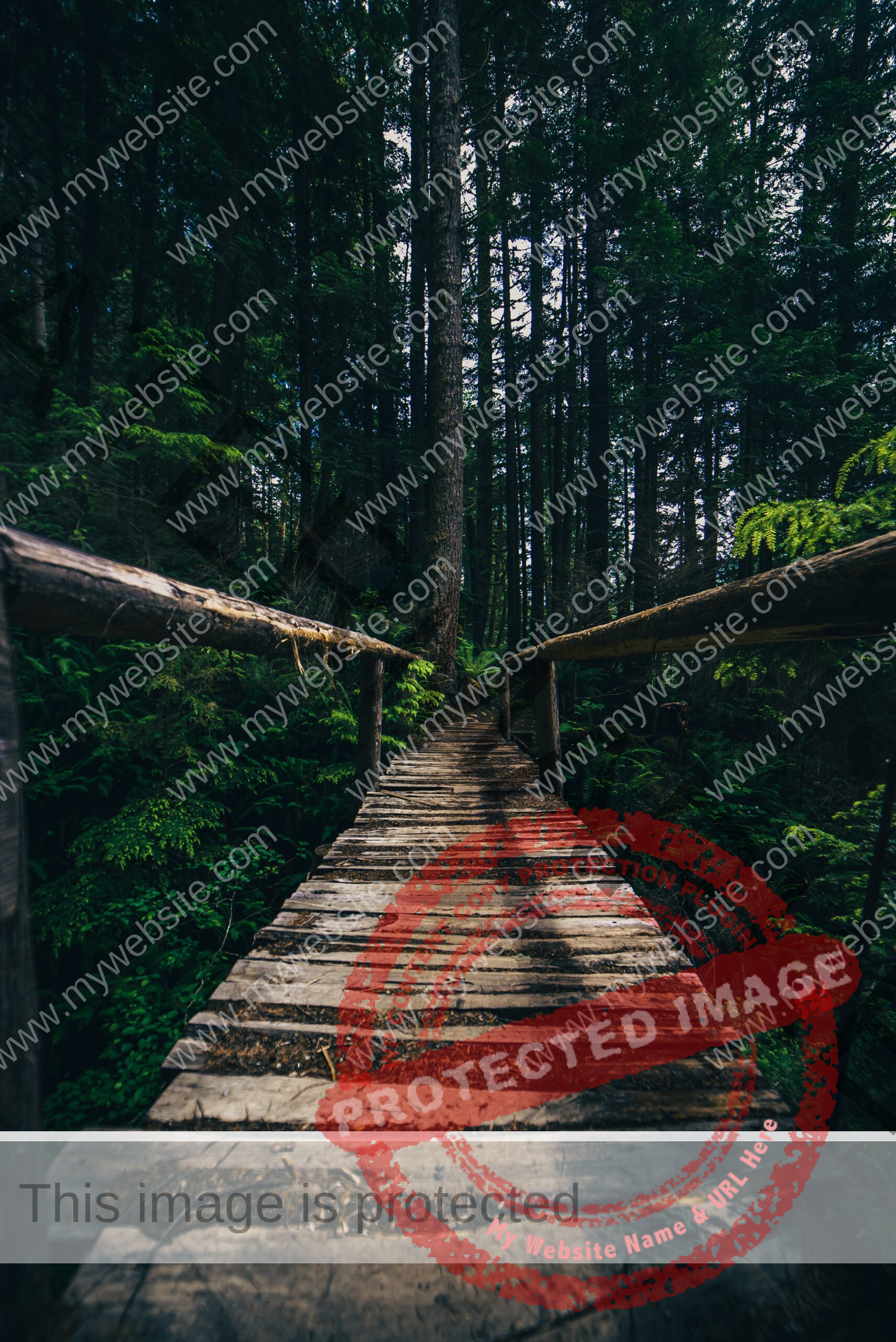 wooden bridge in a forest