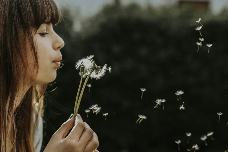 woman blowing a dandelion, seeds scattering
