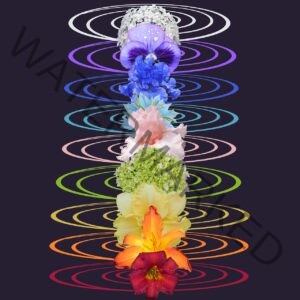 full chakra system with coloured rings about each point represented by a flower
