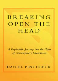 Crown 'Breaking Open the Head: A Psychedelic Journey into the Heart of Contemporary Shamanism' by Daniel Pinchbeck cover 
