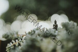a small statue of the buddha on some leaves with a blurred background