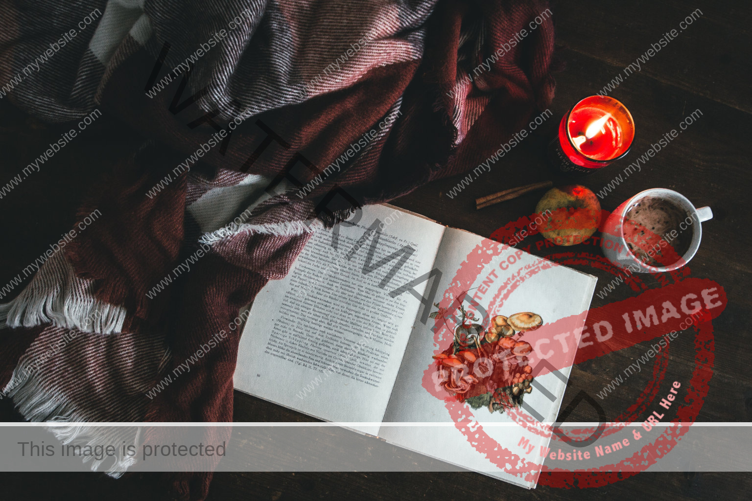 Ein aufgeschlagenes Buch über Pilz auf einem dunklen Boden, eine rotkarierte Decke, rote Kerze und Kakao daneben