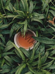 a cup of tea among green leaves