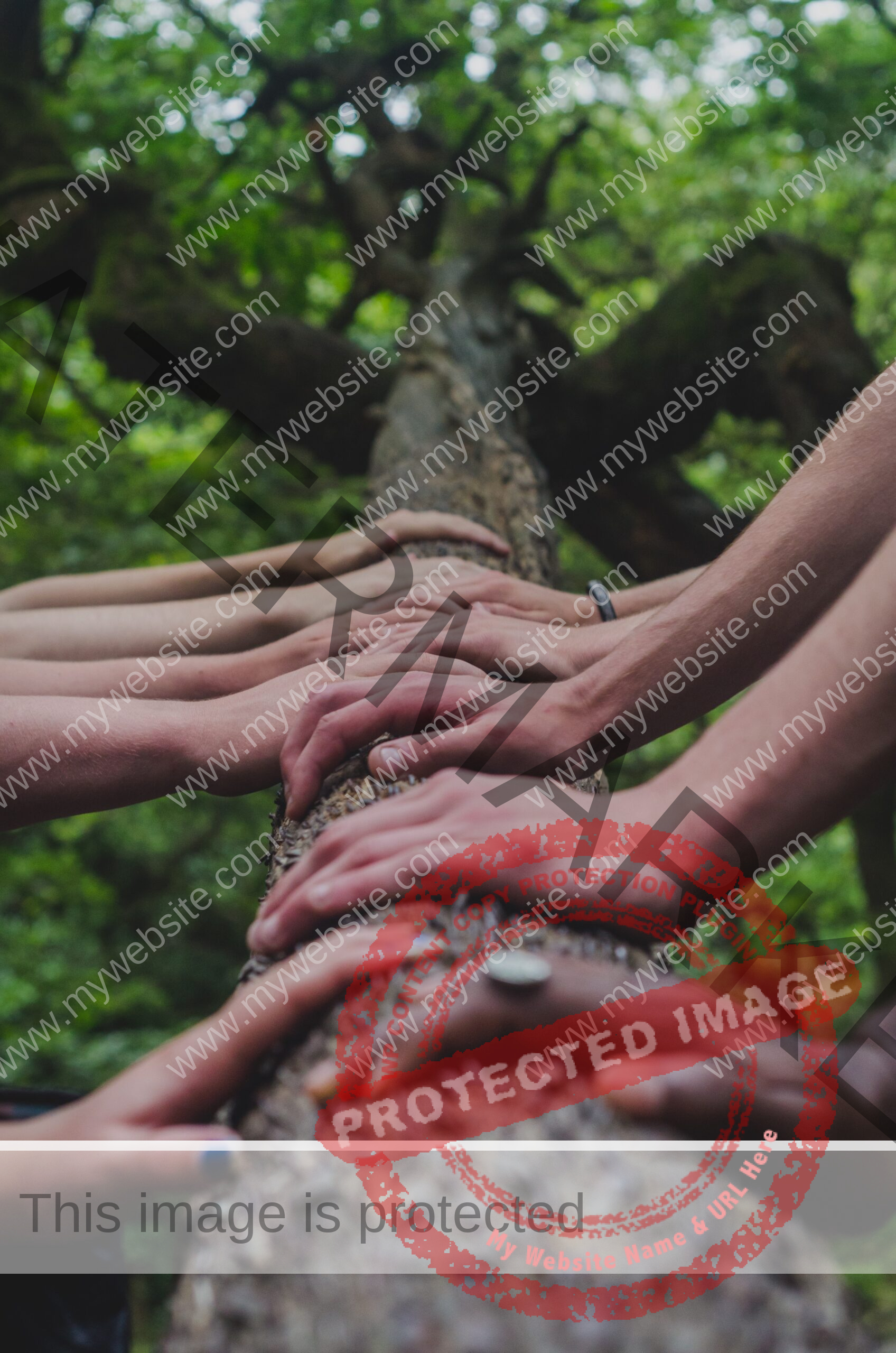 hands resting on a tree branch
