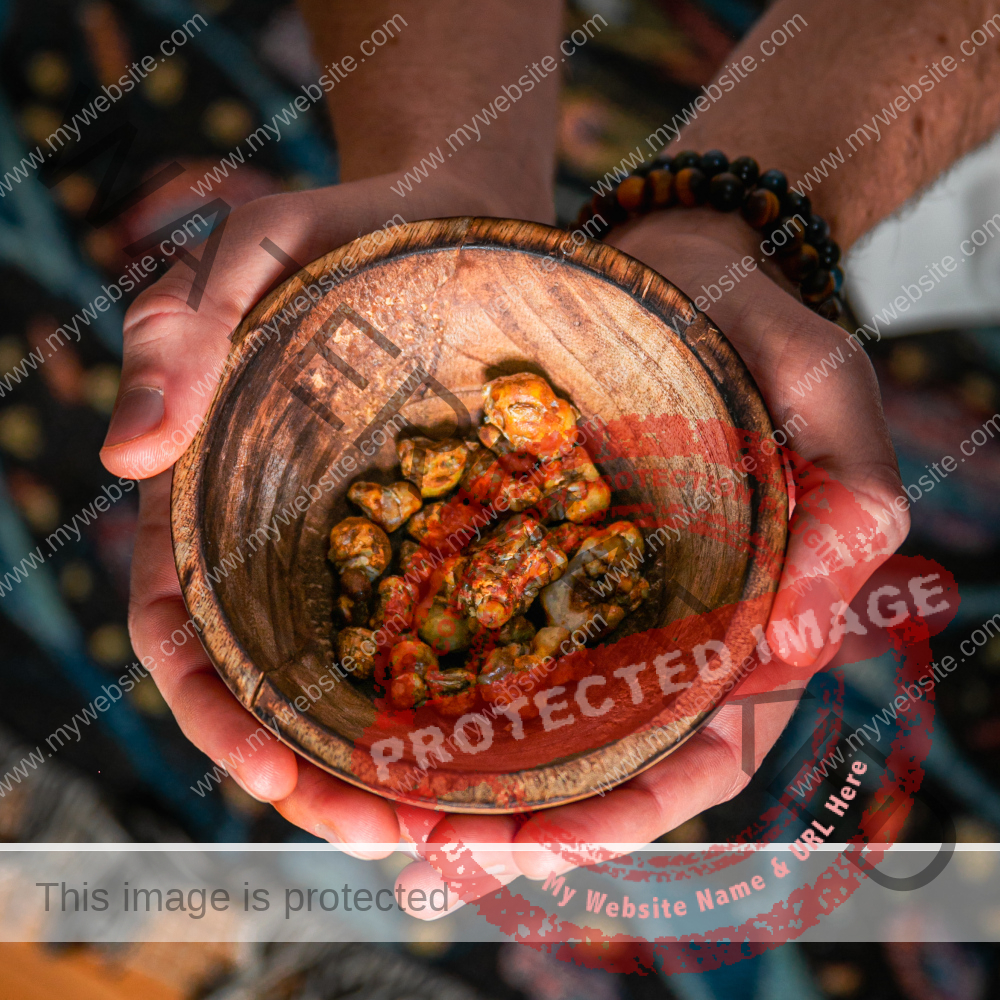 Two hands holding a wooden bowl with psilocybin truffles