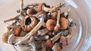 Dried Mushrooms in a Bowl