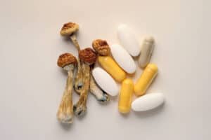 Mushrooms sitting next to medicines