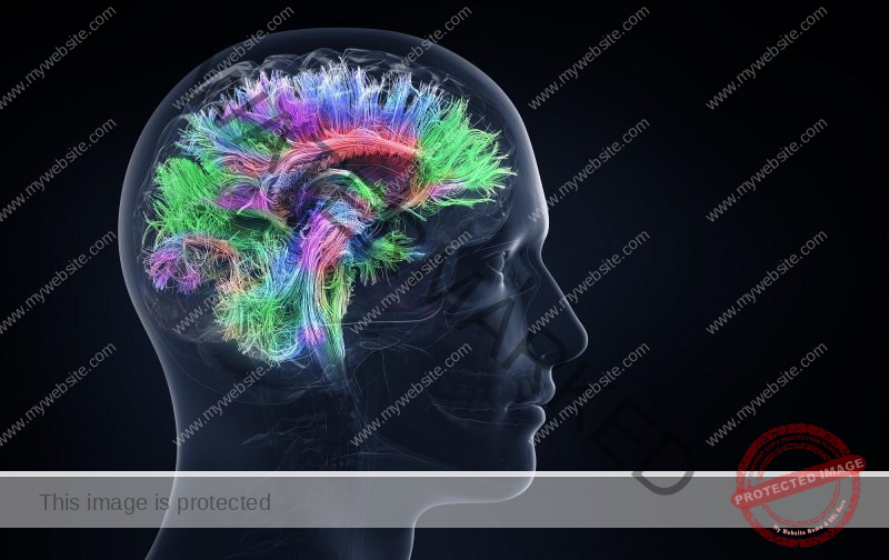 Illustration of a human brain with many different colours