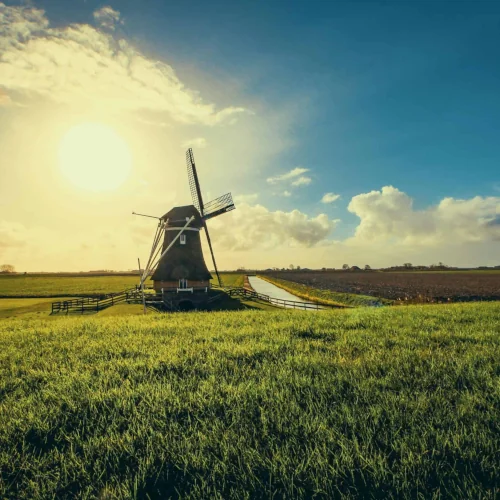 Eine Windmühle bei Sonnenschein auf einem Feld in den Niederlanden