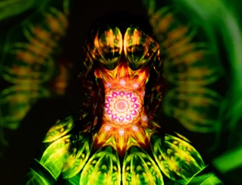 Yoga, Meditation, Breathwork und Psychedelika: Wege zur tiefen Selbsterkenntnis und Heilung