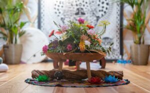Yurte 2 (1) Altar mit Ayahuasca Liane in der Yurte