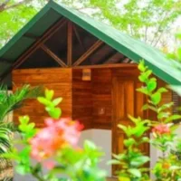 Accommodation building in nature
