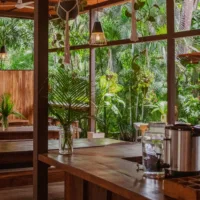 Dining & cafe area next to nature and jungle