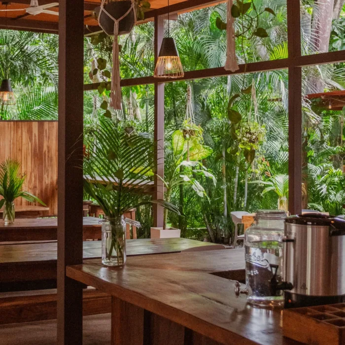 Dining & cafe area next to nature and jungle