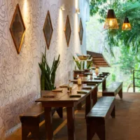 Comfortable dining & cafe area with wooden tables and benches