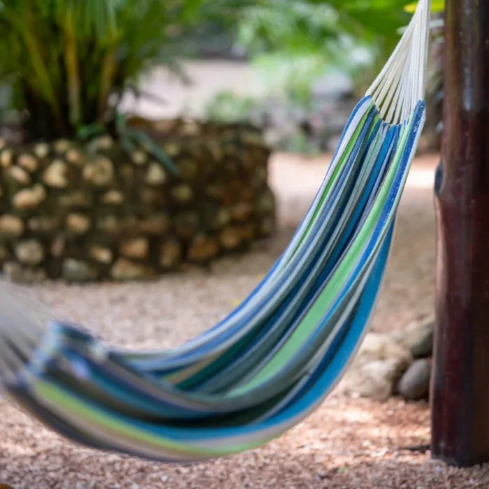 Hammock, palm tree ni the background