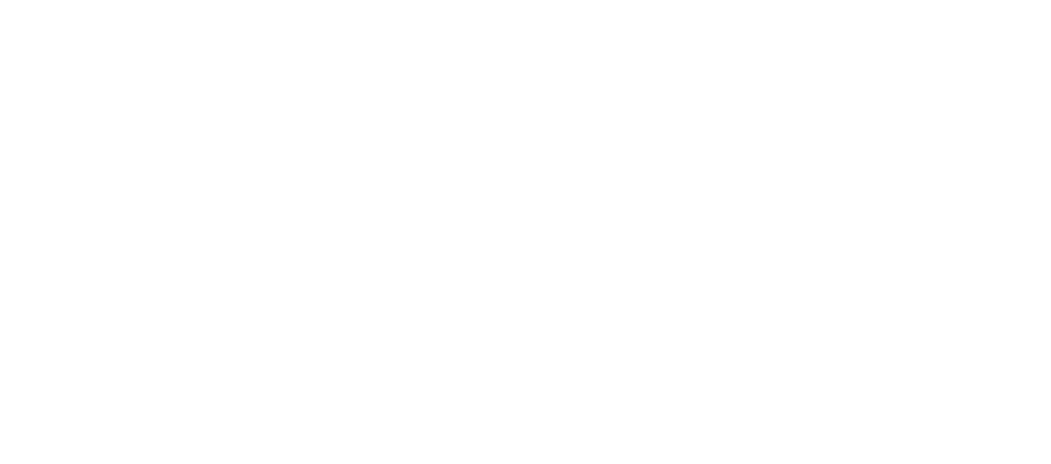 Universiteit Leiden academic research partner Universiteit Leiden academic research partner