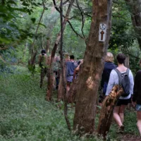 People hiking in the jungle of Costa Rica