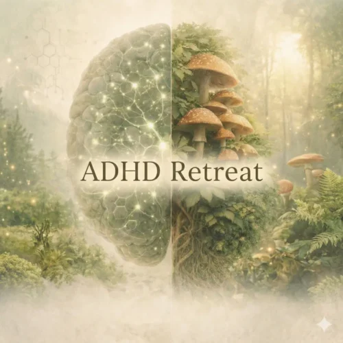 ADHD Retreat, brain, mushrooms, and green background