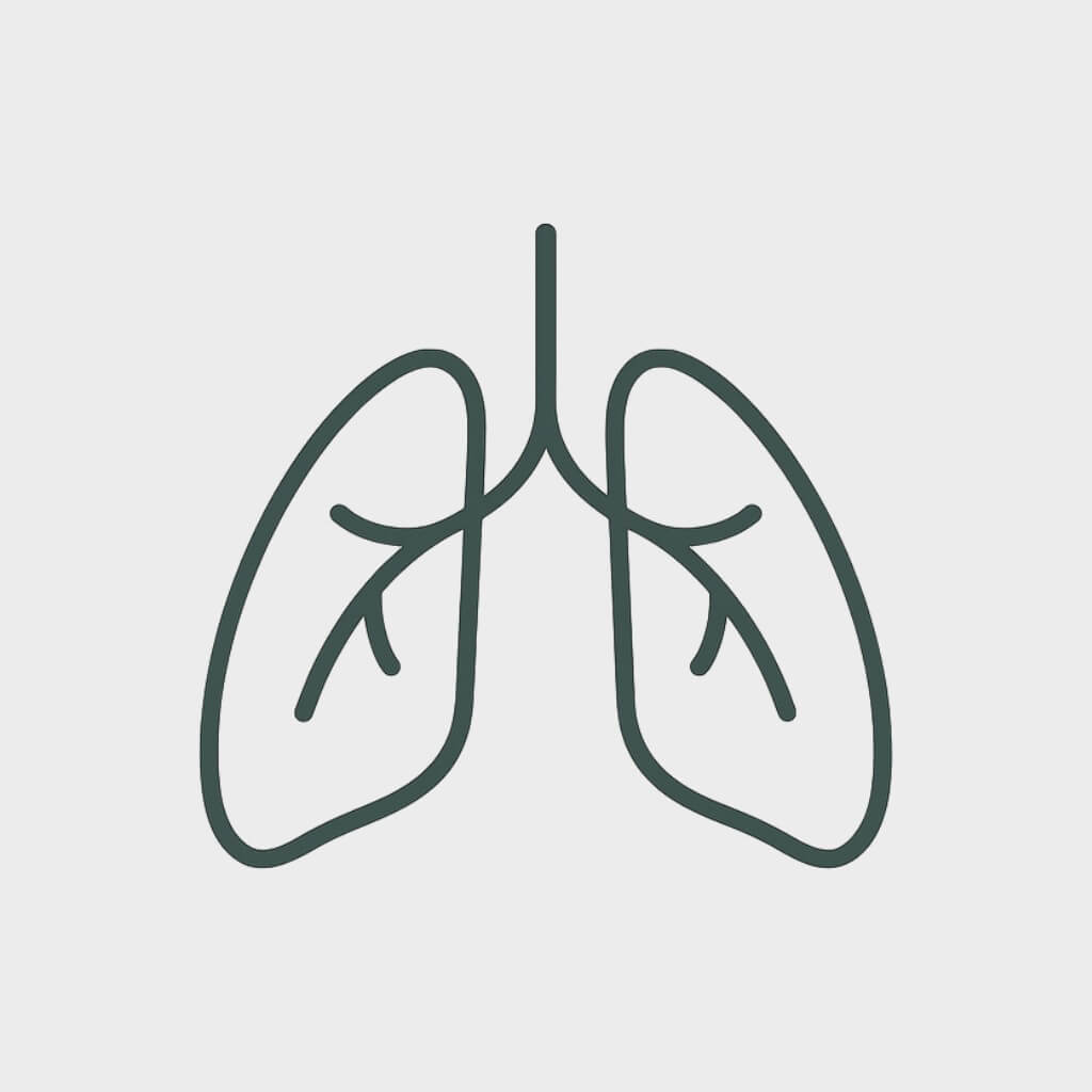 Breathwork & Mindfulness