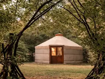 3 day ayahuasca retreat The Netherlands 3 day ayahuasca retreat The Netherlands