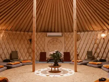 3 days psilocybin group retreat netherlands 3 days psilocybin group retreat netherlands