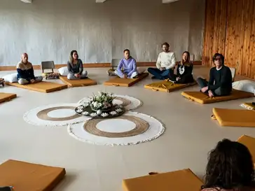 5 days psilocybin group retreat netherlands 5 days psilocybin group retreat netherlands