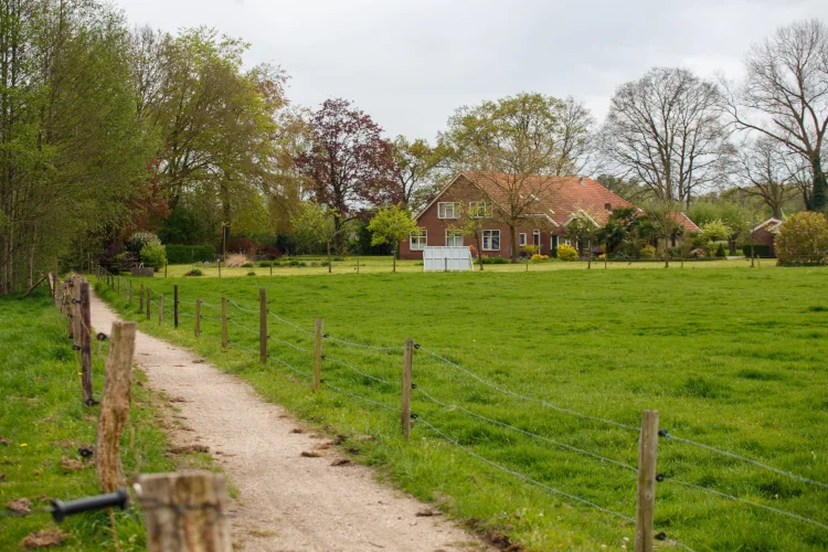 ayahuasca-retreat-netherlands-countryside-arnhem Quiet Dutch countryside retreat location near Arnhem for Ayahuasca ceremony