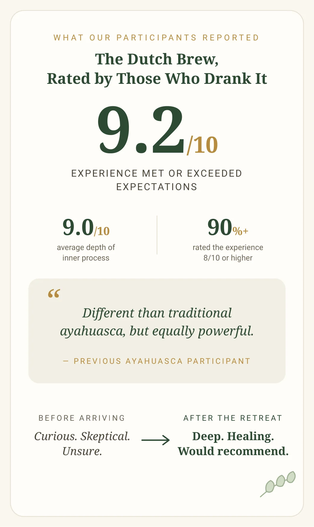 dutch brew rated by past participants The Dutch Brew, Rated by those who drank it